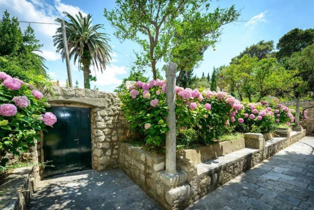 The Soldo'S Apartman Dubrovnik Kültér fotó